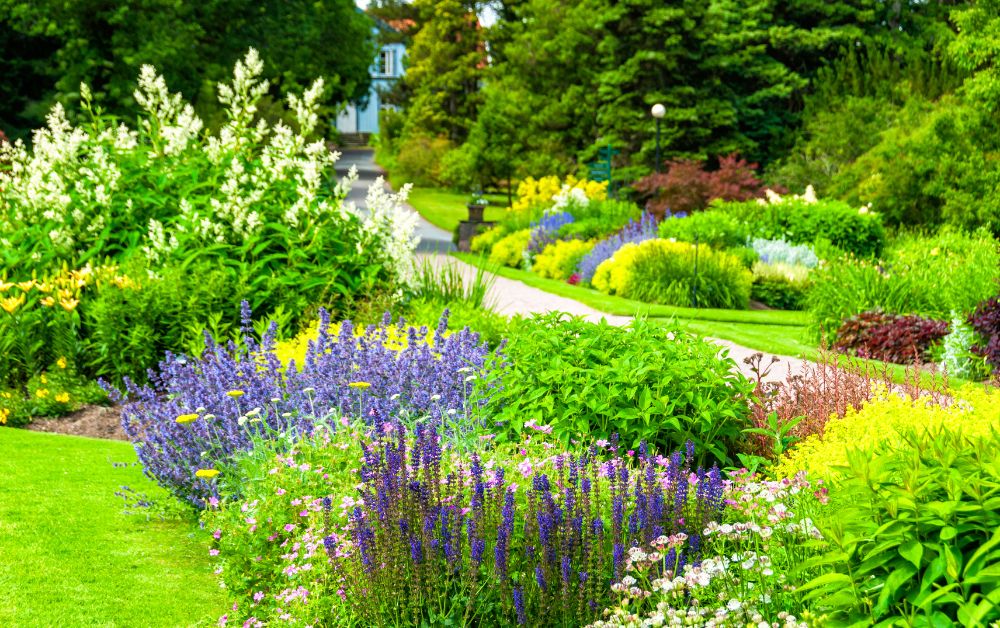 Rollbrett für botanische Gärten