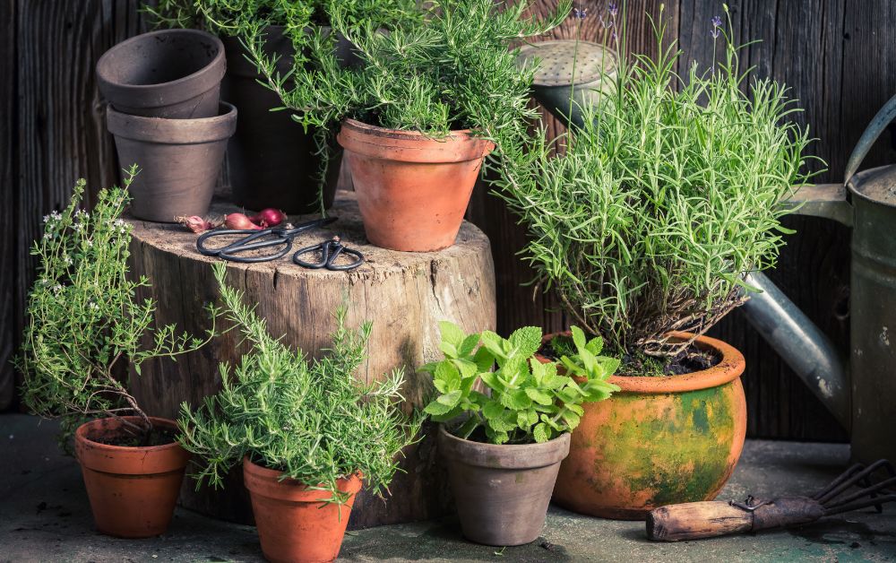 Rollbrett für Ihren Kräutergarten