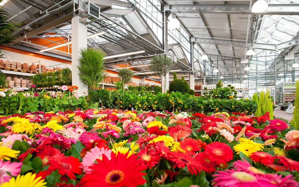 Das Rollbrett im Gartenmarkt